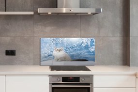 Pannello paraschizzi cucina Gatto d'inverno 100x50 cm