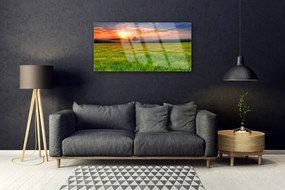 Quadro acrilico Prato, Sole, Natura 100x50 cm