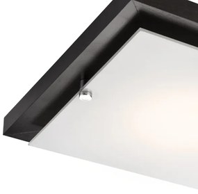 Lampada da soffitto 1xE27/60W/230V