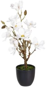 Pianta Decorativa Poliestere Polietilene Ferro 30 x 30 x 60 cm Magnolia