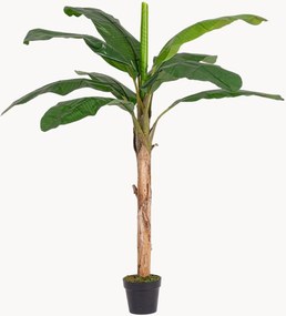 Pianta artificiale da esterno Banana, alt. 180 cm