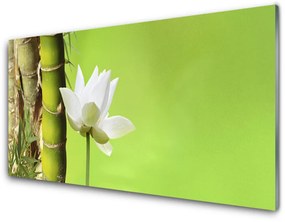 Quadro in vetro Pianta di bambù Natura 100x50 cm