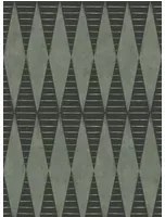 Coordonne Carta da parati Warrior - Menta