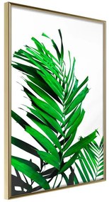 Poster  Emerald Palm  Cornice Quadri Cornice d'oro, Larghezza x Altezza Home decor 40x60