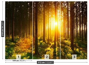Carta da parati Foresta del sole 104x70 cm