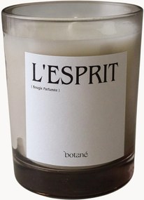 Candela profumata L'esprit (aghi di pino, cedro, incenso & vegetale verde)