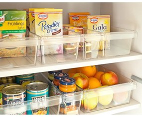 Organizer da frigo in plastica da 1,6 l Loft - Rotho