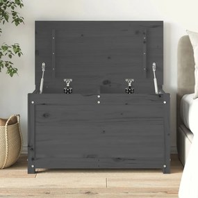 Contenitore Portaoggetti Grigio 80x40x45,5cm Massello Di Pino /
