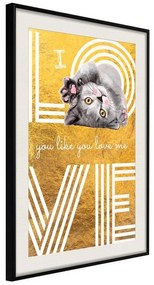 Poster  Cat Love  Cornice Quadri Cornice nera con pass-partout, Larghezza x Altezza Home decor 20x30