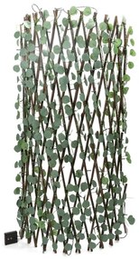 Aigostar - Catena LED solare 148xLED/2x1,2m IP65 bianco caldo eucalipto