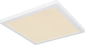 Globo 12380-24W - Plafoniera LED LASSE LED/24W/230V 3000/4000/6500K bianco