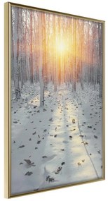 Poster  Frosty Sunset  Cornice Quadri Cornice d'oro, Larghezza x Altezza Home decor 20x30