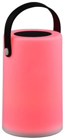 Apparecchio solare a LED per esterni (altezza 21 cm) Garcia - Trio