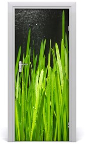Adesivo per porta interna Lama d'erba 75x205 cm
