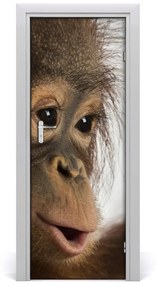 Adesivo per porta interna Giovane orangutan 75x205 cm