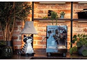 Happy Lamps - Lampada da tavolo LED per bambini BEN LED/5,4W/230V raccoon