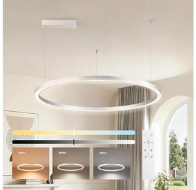 Brilagi-LED Dimmerabile. lampadario a cavo PORTOFINO LED/60W/230V Ø 80 cm argento+telecomando