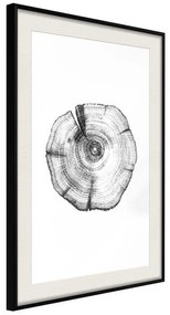 Poster  Tree Rings  Cornice Quadri Cornice nera con pass-partout, Larghezza x Altezza Home decor 20x30