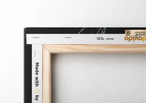 Quadro su tela – Bellezza del soffione