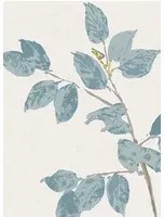 Lewis & Wood Carta da parati Beech - Bluegrass