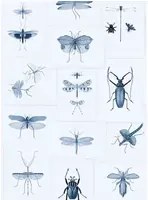 Mindthegap Carta da parati Entomology - WP20235