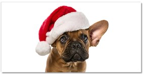 Quadro acrilico Bulldog cane di Natale 100x50 cm