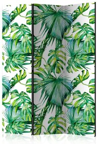 Paravento design Foglie della giungla (3 parti) - modello di piante tropicali