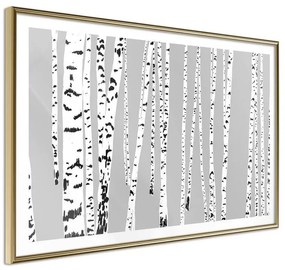 Poster  Birch Wood  Cornice Quadri Cornice d'oro, Larghezza x Altezza Home decor 45x30