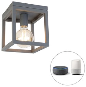 Lampada da soffitto intelligente industriale grigio scuro incl. Wifi G95 - Cage