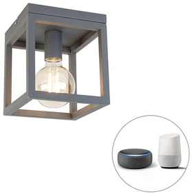 Lampada da soffitto intelligente industriale grigio scuro incl. Wifi G95 - Cage