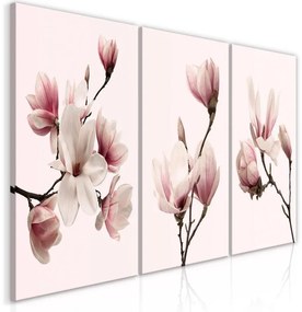 Quadro  Spring Magnolias (3 Parts)  Larghezza x Altezza Home decor 60x30