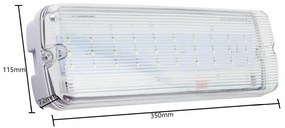 Lampada Emergenza LED da Soffitto o Parete IP65 Colore Bianco Freddo 6.000-6.500K