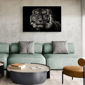 Quadro su tela – Tigre in bianco e nero