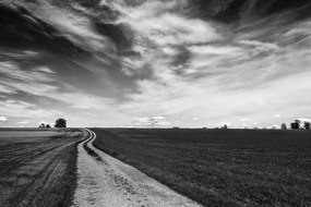Carta da parati – Paesaggio incantevole in bianco e nero