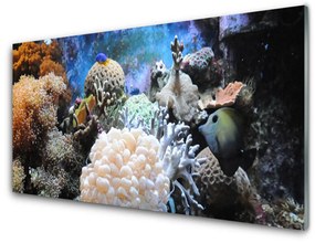 Schienali cucina Natura della barriera corallina 100x50 cm