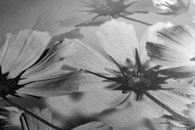 Quadro su tela – Fiori da giardino in bianco e nero