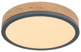 Globo 416080WD1R - Plafoniera LED DORO LED/12W/230V d. 30 cm