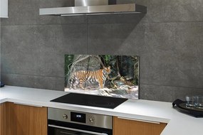 Rivestimento parete cucina Giungla della tigre 100x50 cm