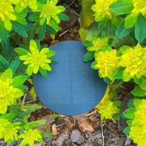 Zuma Line DT33611 - Lampada solare LED CARLI LED/2W/2000 mAh IP44 nero