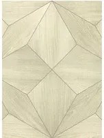 Coordonne Tapete Polar Star - Swan