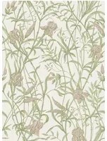 Cole & Son Carta da parati Iris - Soft Coral on Chalk