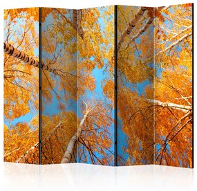 Paravento separè Cime degli alberi autunnali II (5 parti) - foglie e cielo arancioni