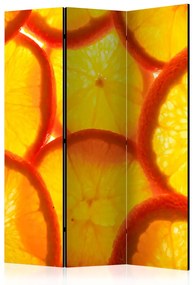 Paravento Fette d'arancia (3 pezzi) - sfondo con frutti arancioni succosi