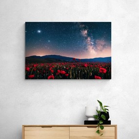 Quadro su tela – Prato di papaveri selvatici sotto le stelle