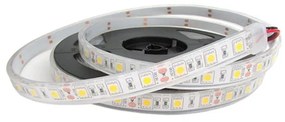 Striscia Strip Bobina Led Impermeabile IP68 Bianco Caldo 3000K Con 300 Smd 5050 5 Metri