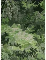 Arte International Carta da parati Diore - Grass