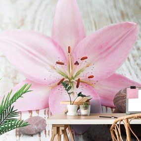 Carta da parati – Giglio rosa e pietre Zen