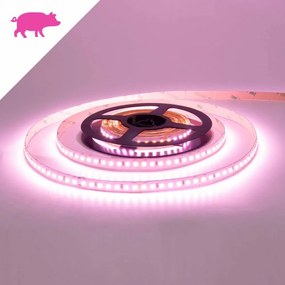 Striscia LED Professional per Banco Carni Tipo di Carne Per Carni di Suino