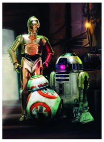 Fotomurale Star Wars three droid, multicolor 184 x 254 cm