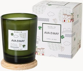 Candela profumata fatta a mano Dublin (cardamomo, patchouli, cipresso)